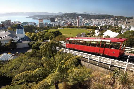Wellington